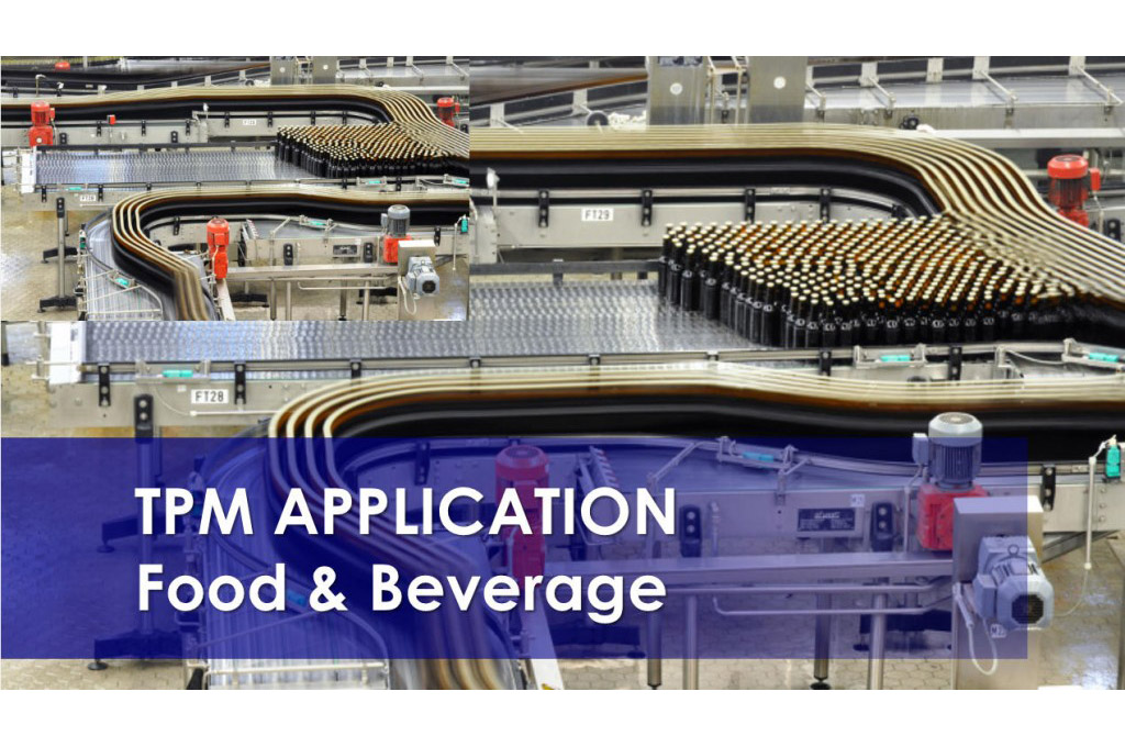 INNOVEMOS: TPM para pérdidas de masas en procesos líquidos