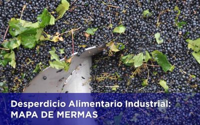 DESPERDICIO ALIMENTARIO INDUSTRIAL: MAPA DE MERMAS