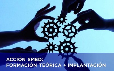 ACCIÓN SMED: FORMACIÓN TEÓRICA + IMPLANTACIÓN
