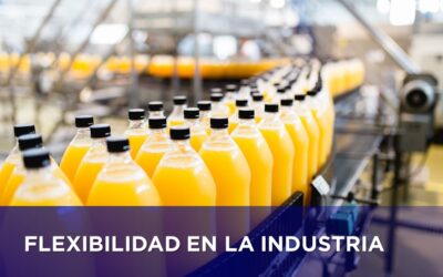 FLEXIBILIDAD EN LA INDUSTRIA. ¿Cuál es la receta?